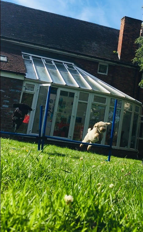 Secure backyard play area