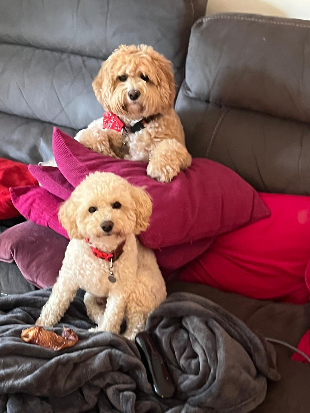 Interactive play area